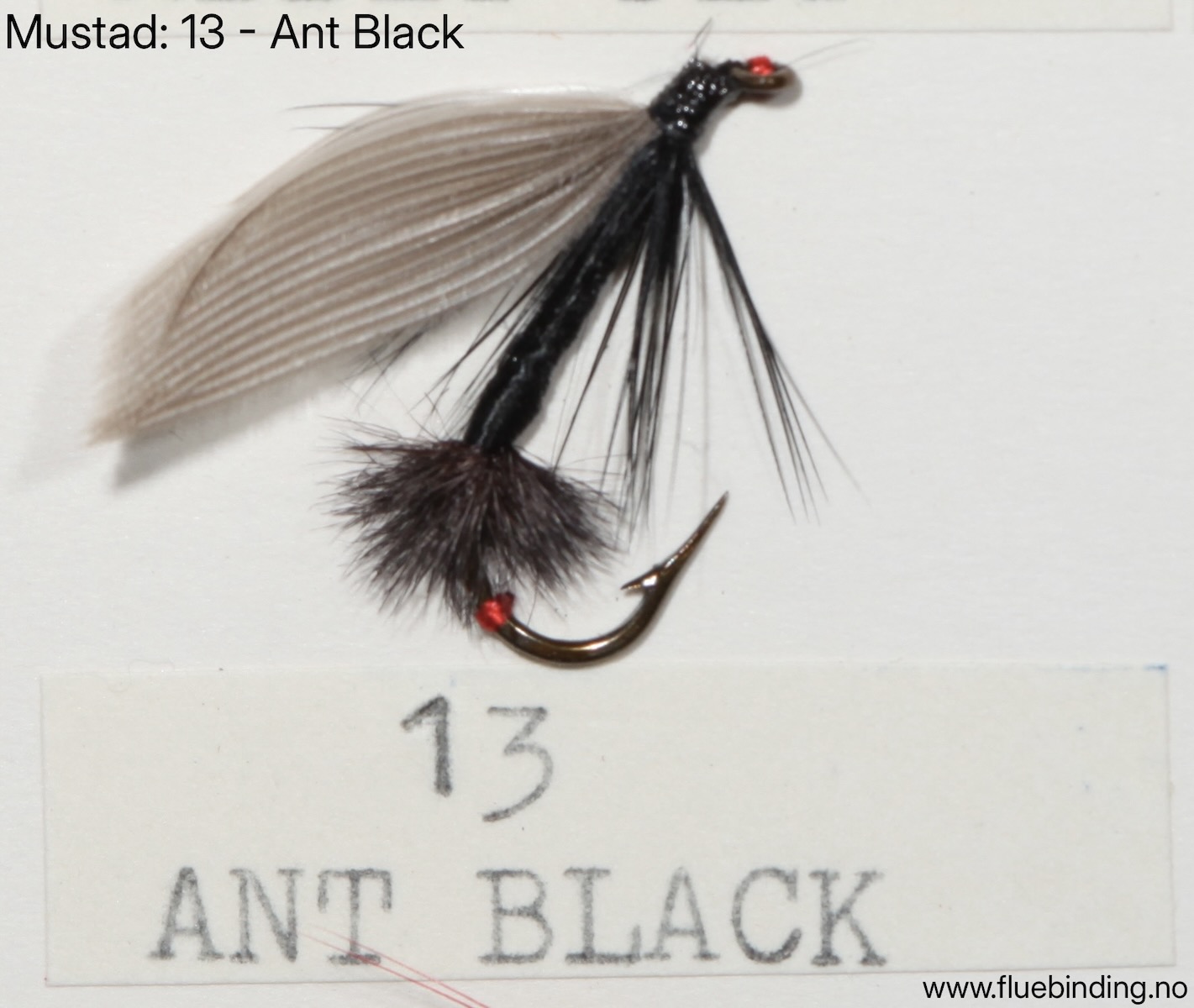 Ant Black