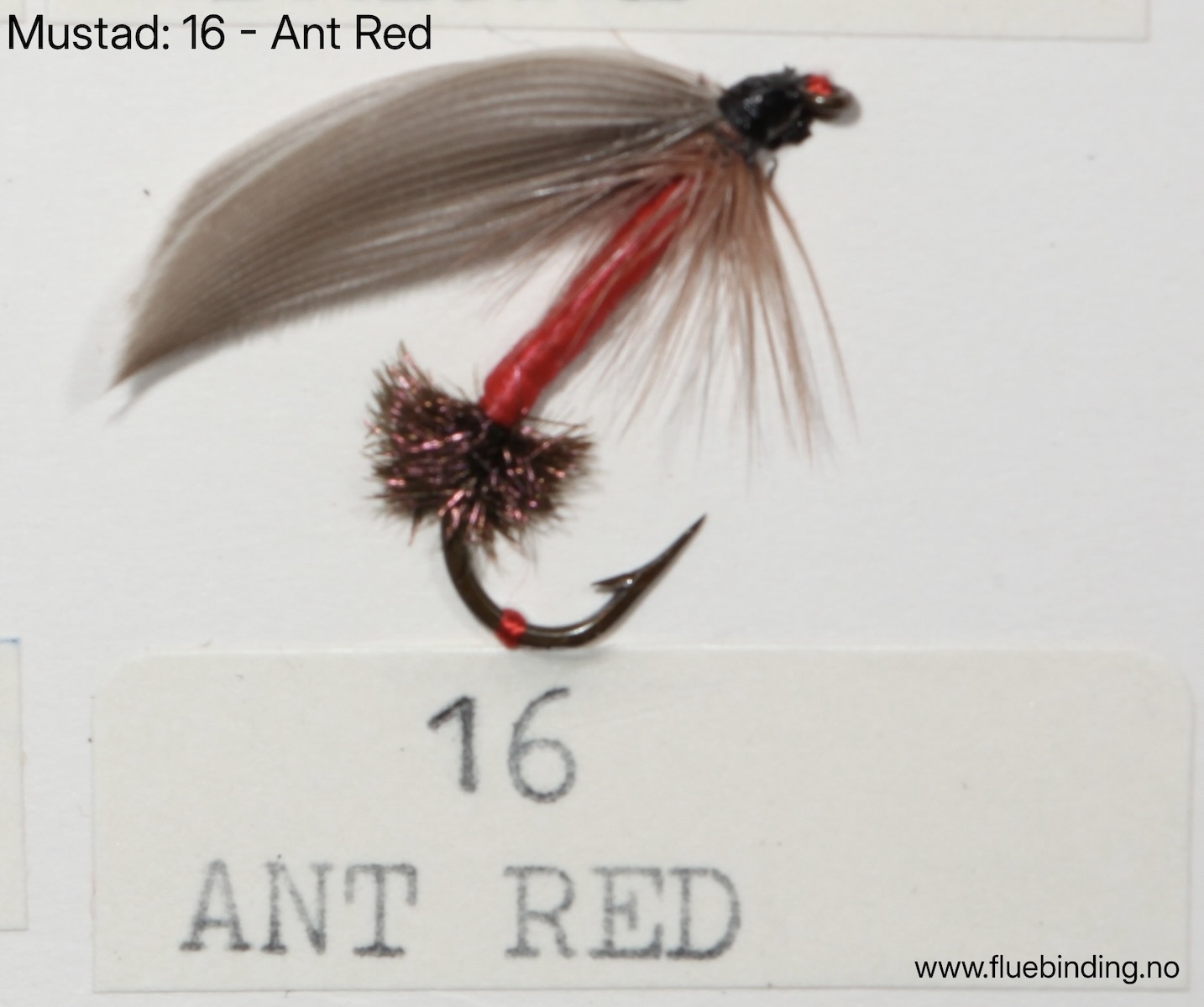 Ant Red