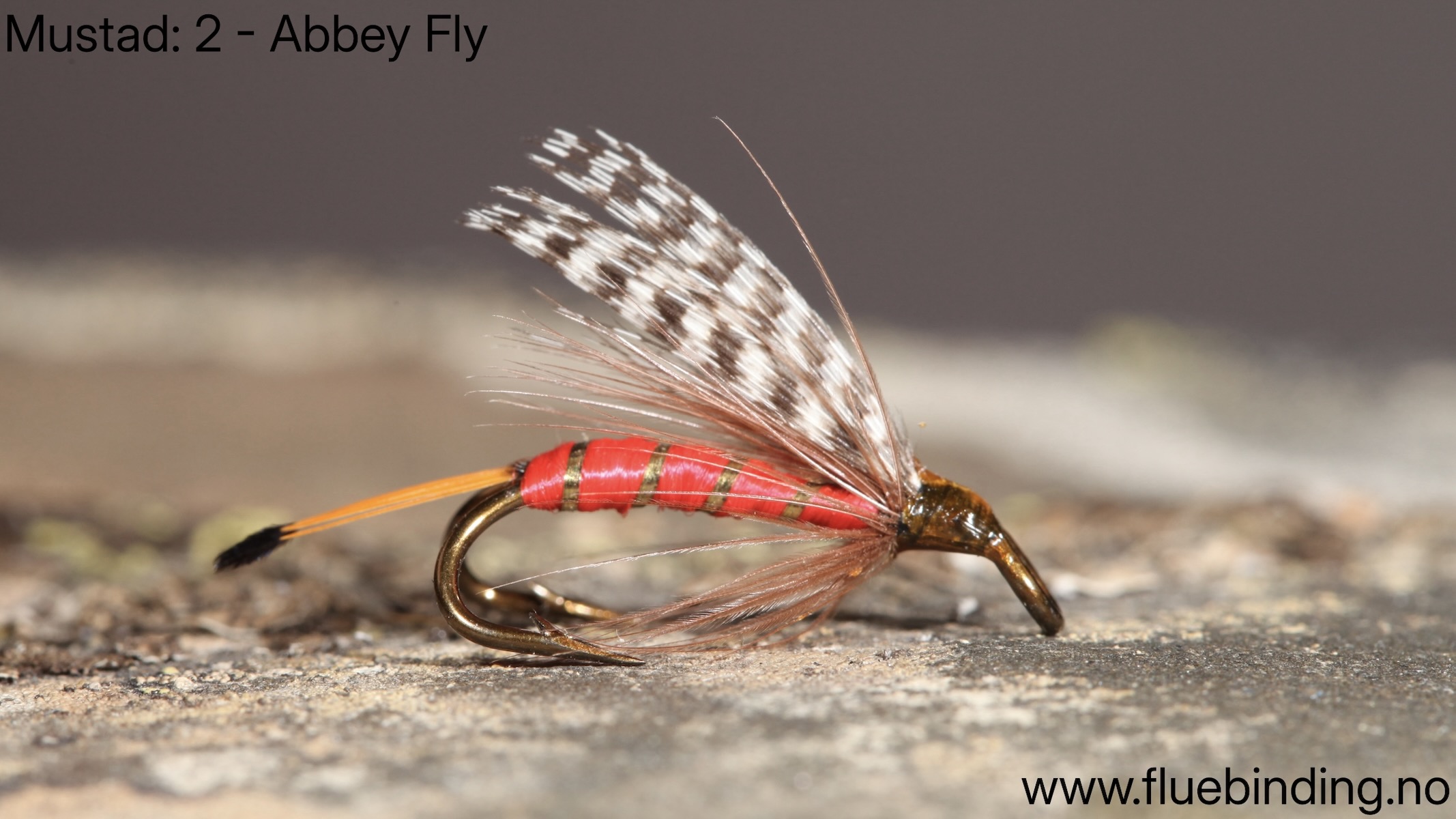 Abbey Fly