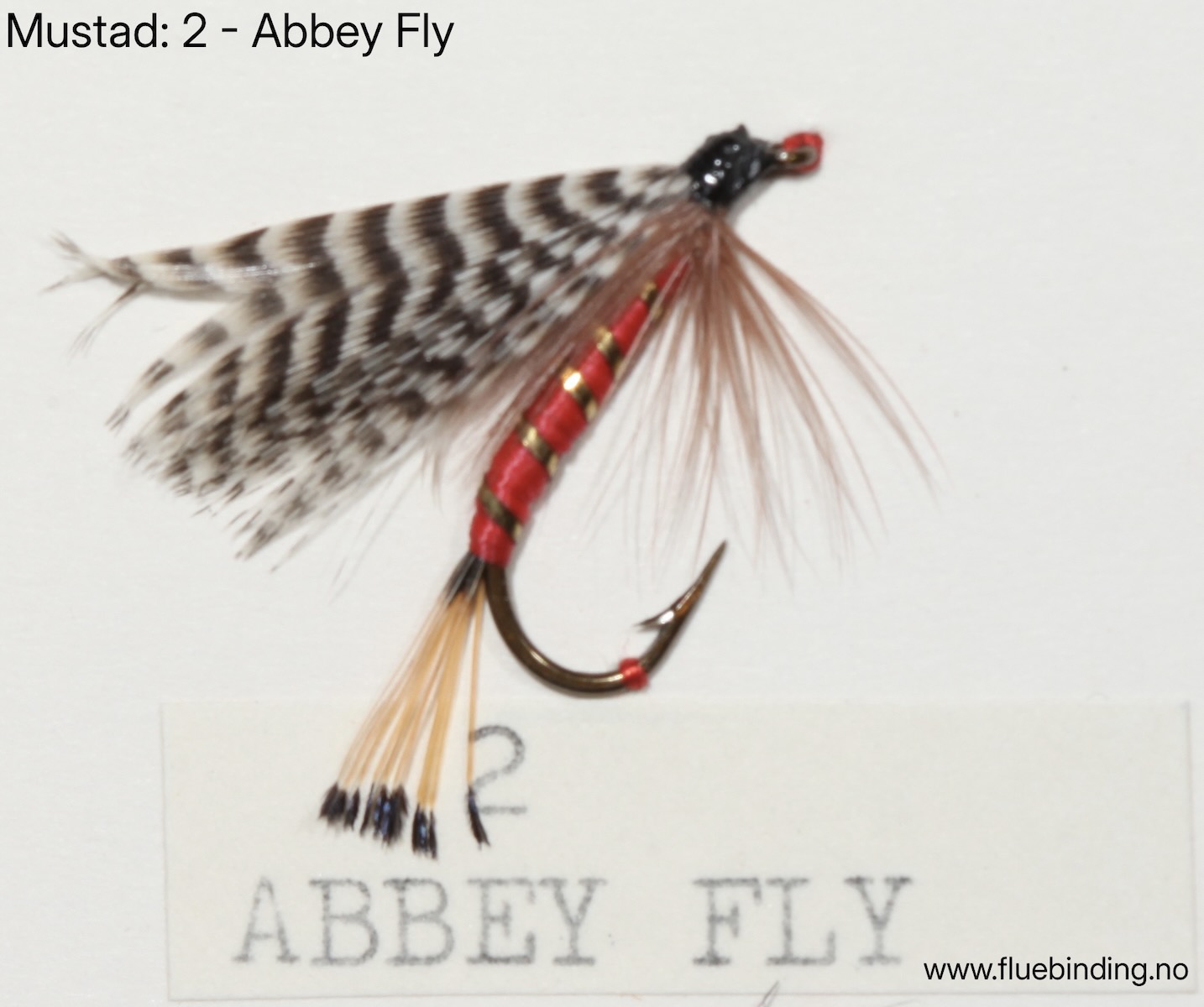 Abbey Fly