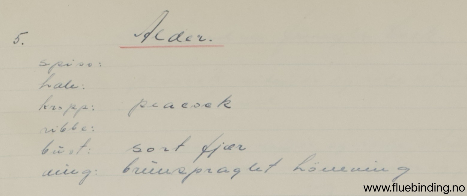 Alder