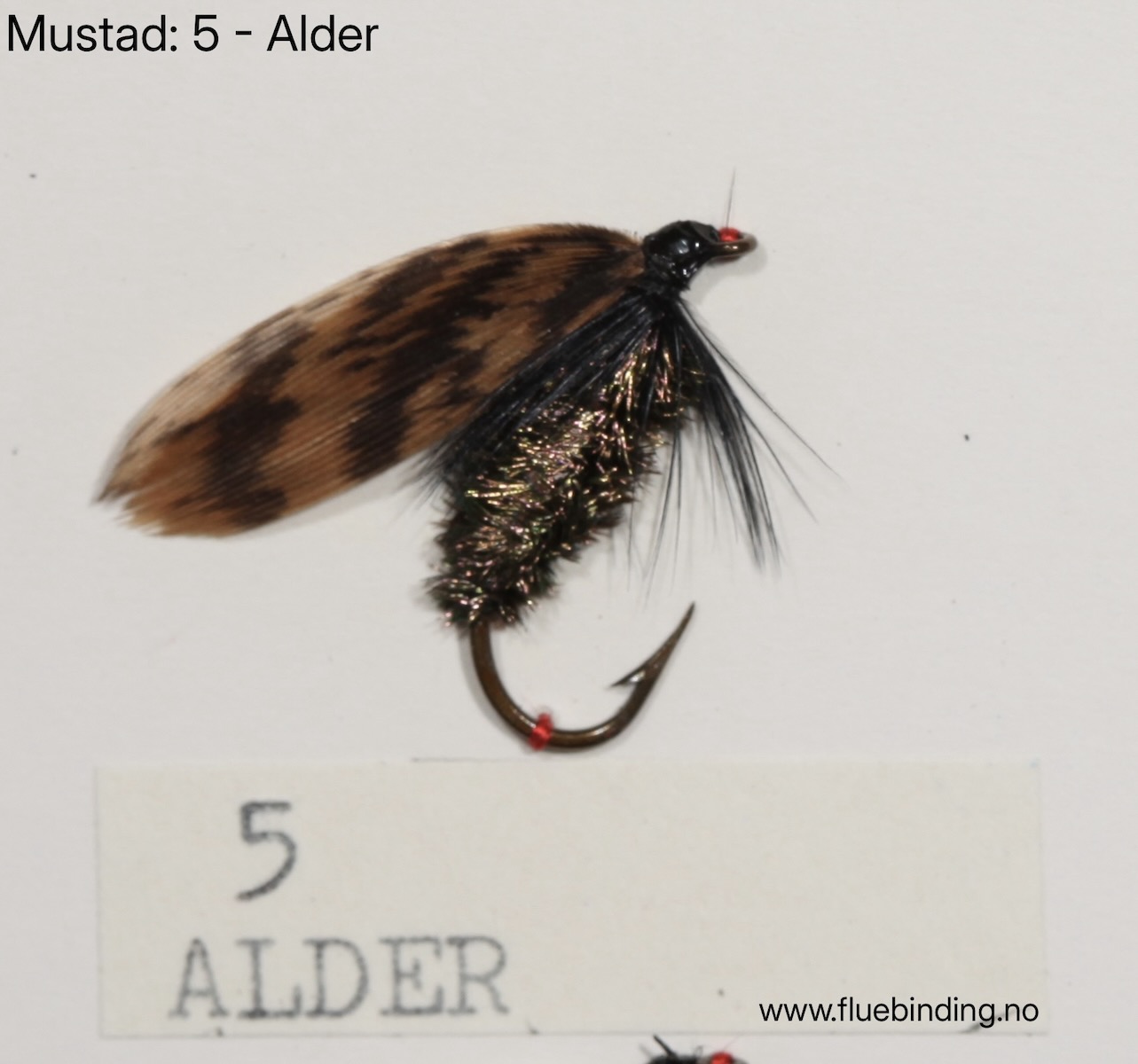 Alder