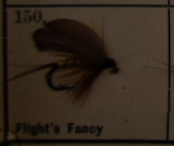 Flights Fancy