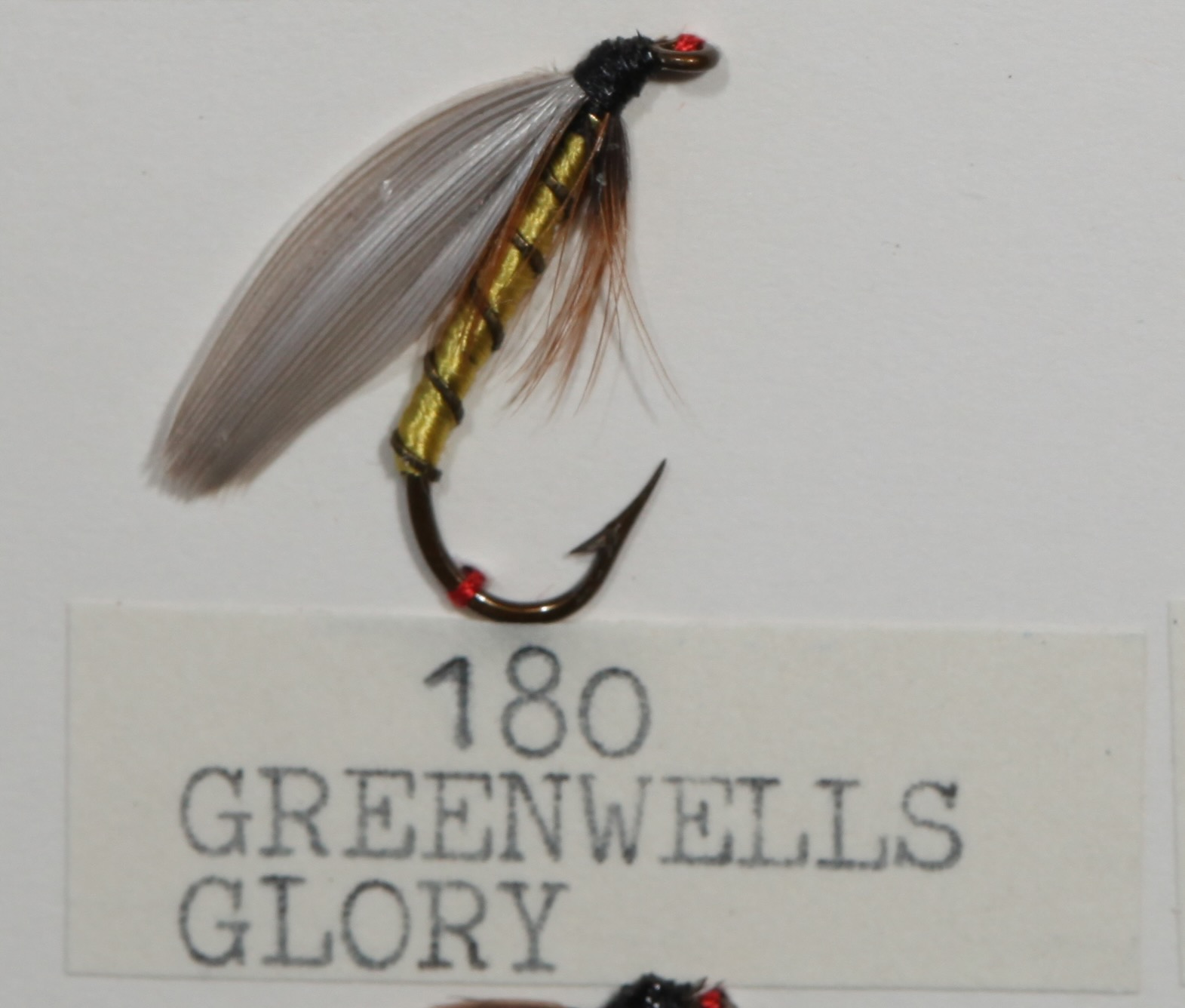 Greenwells Glory