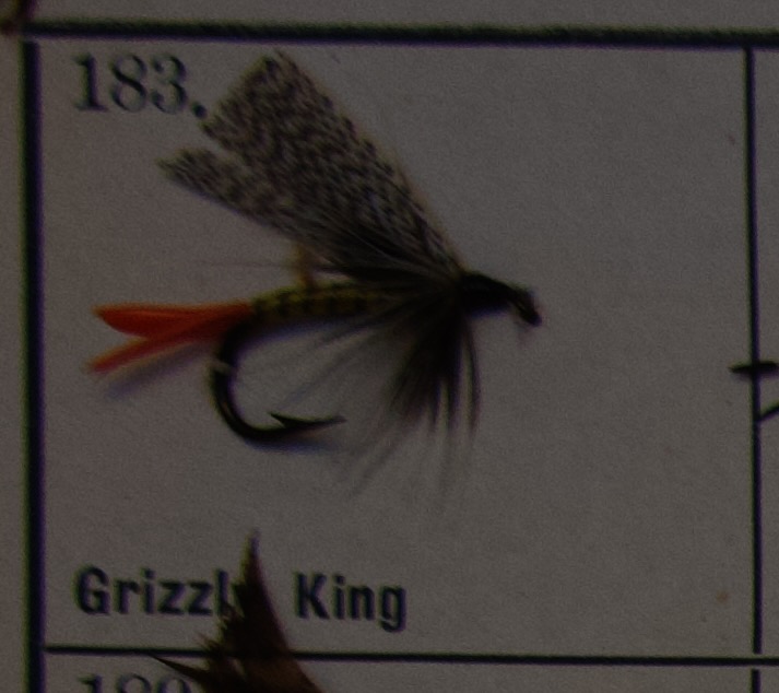 Grizzly King