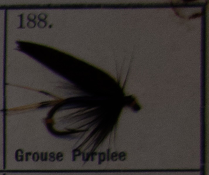 Grouse Purple
