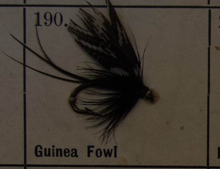 Guinea Fowl