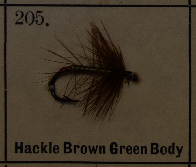Hackle Brown Green Body