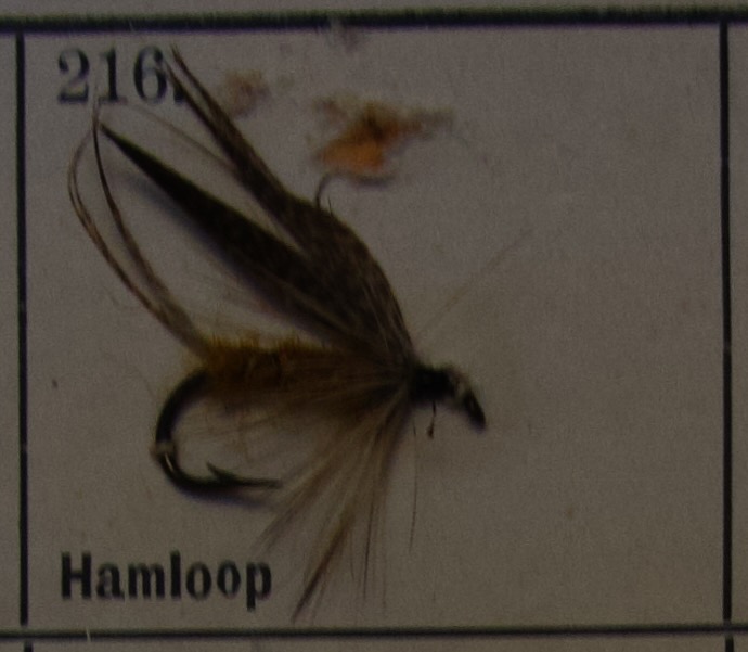 Hamloop
