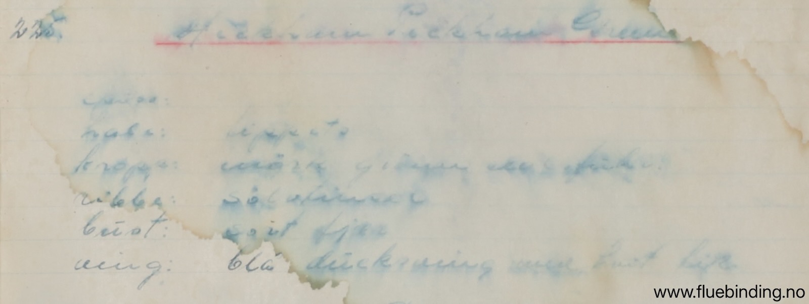 Heckham Peckham Green