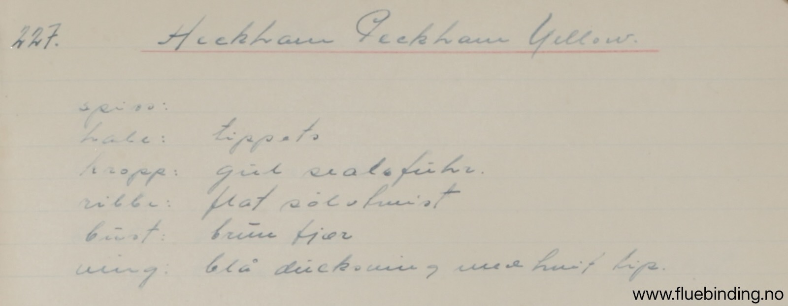 Heckham Peckham Yellow