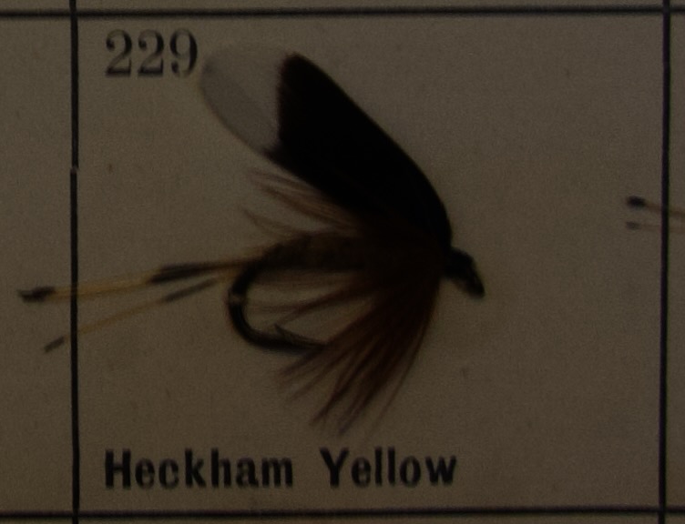 Heckham Yellow