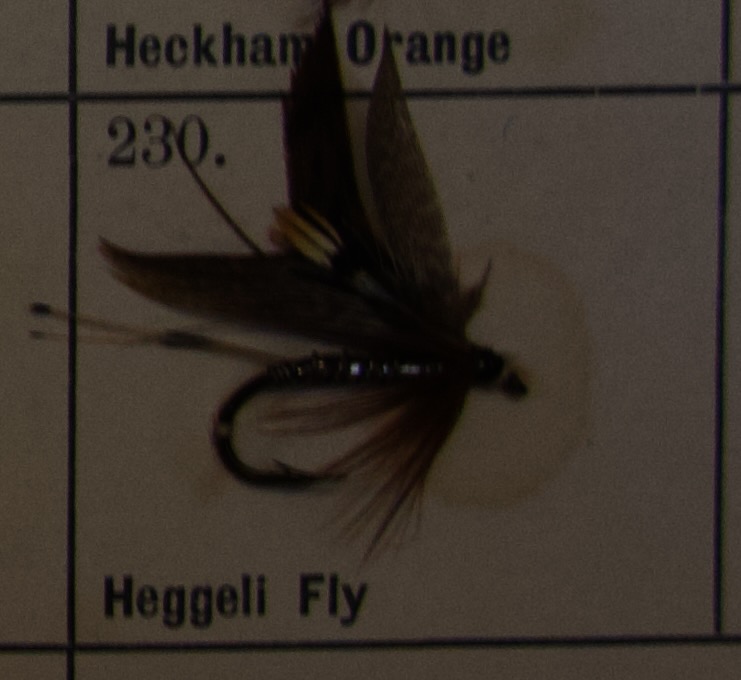 Heggeli Fly