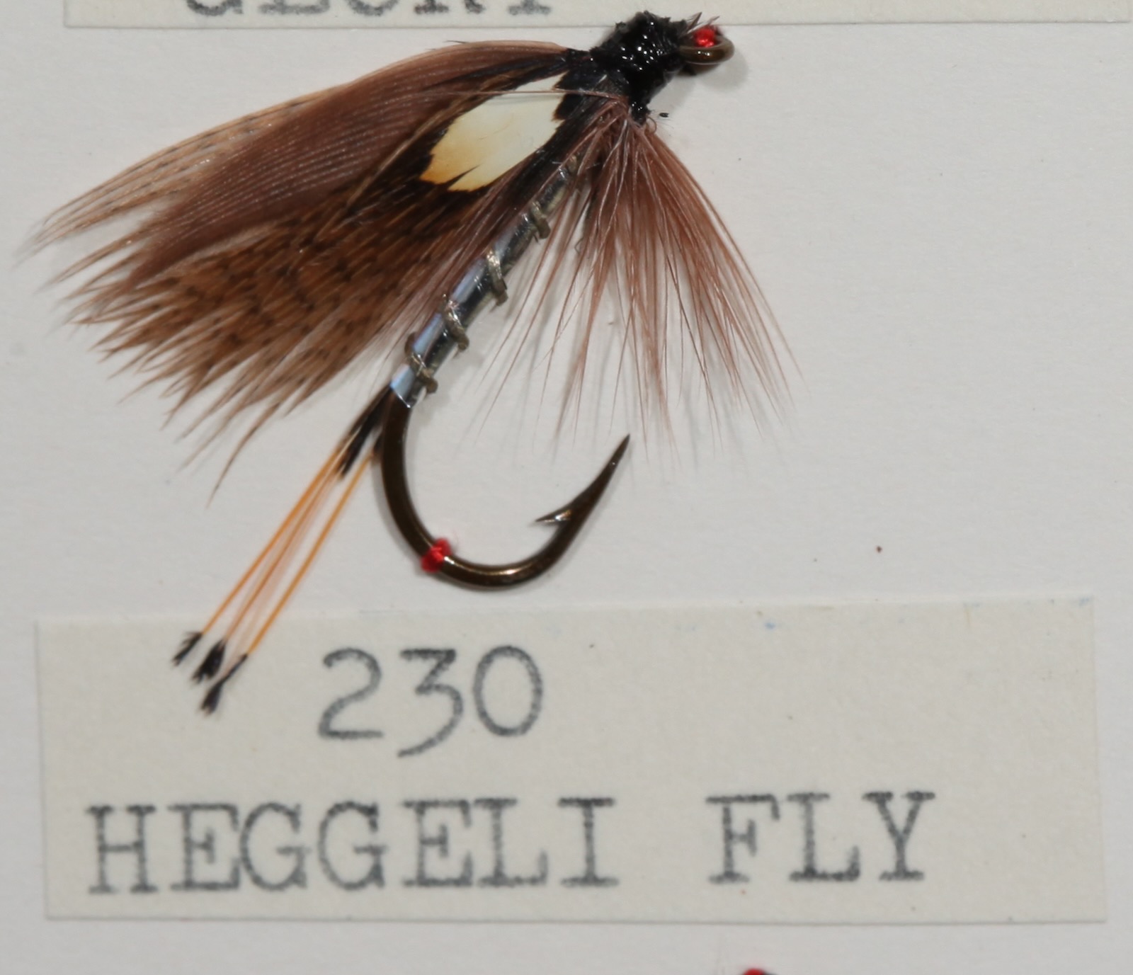 Heggeli Fly