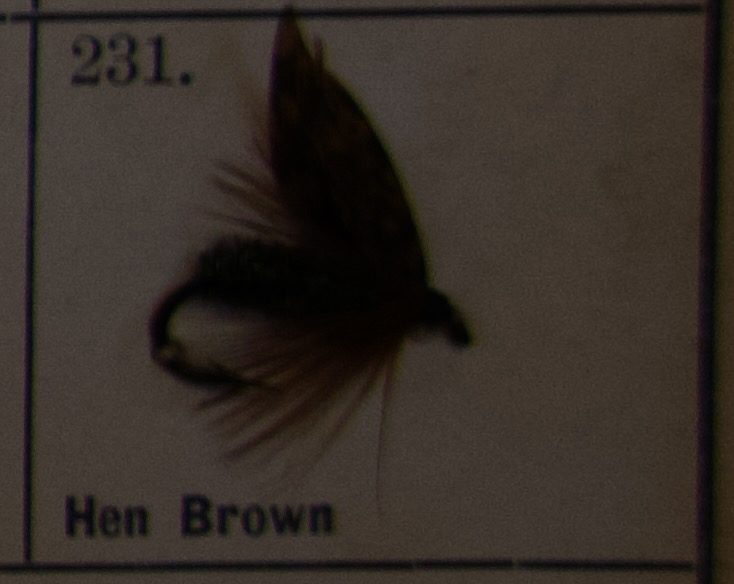 Hen Brown