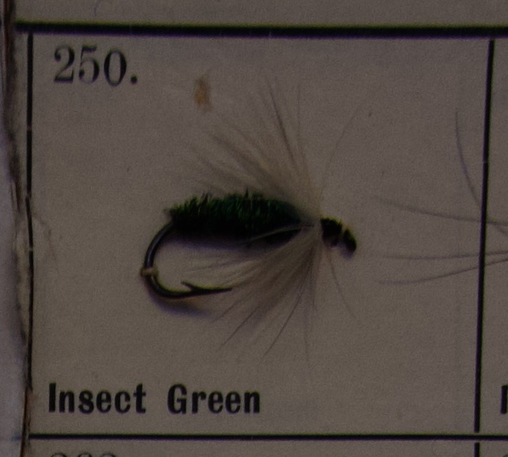 Insect Green
