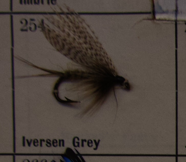 Iversen Grey