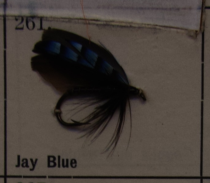 Jay Blue