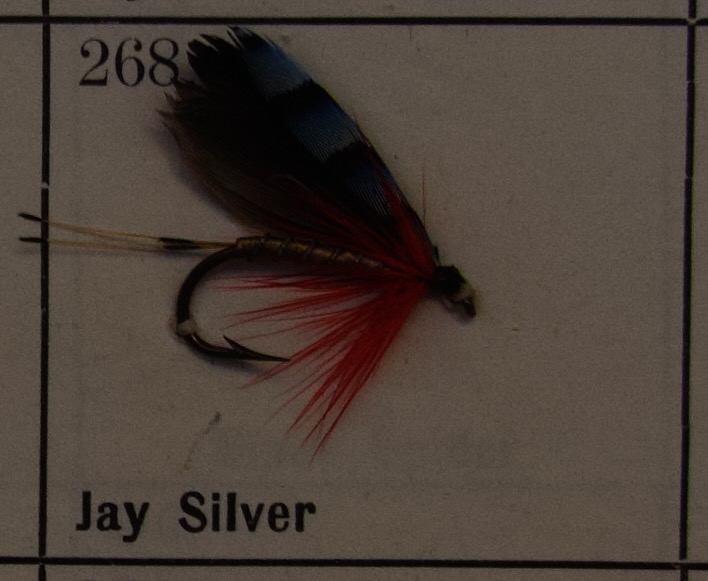 Jay Silver