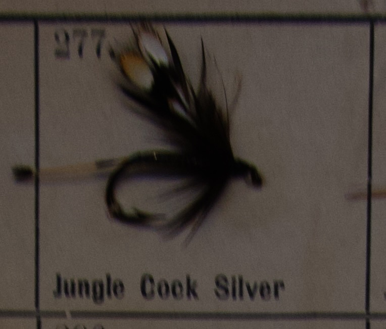 Jungle Cock Silver
