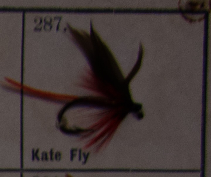 Kate Fly