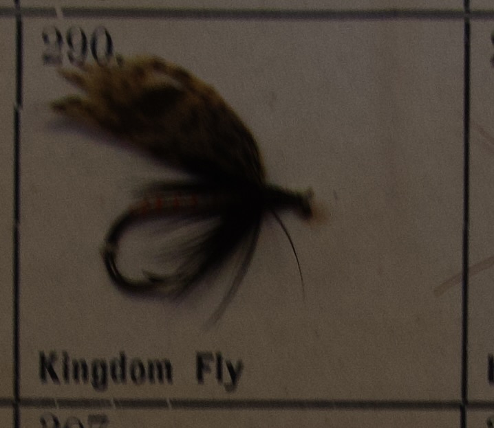 Kingdom Fly