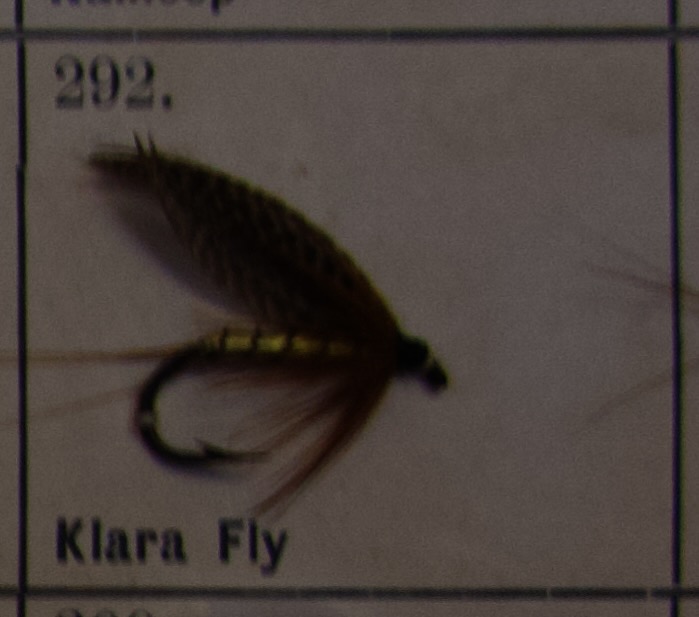 Klara Fly