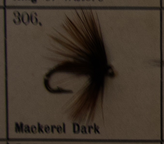Mackerel Dark