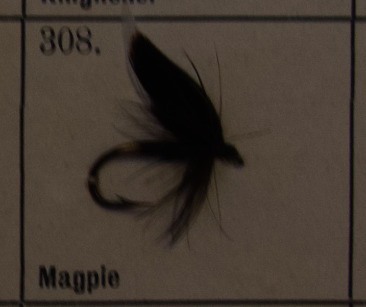 Magpie