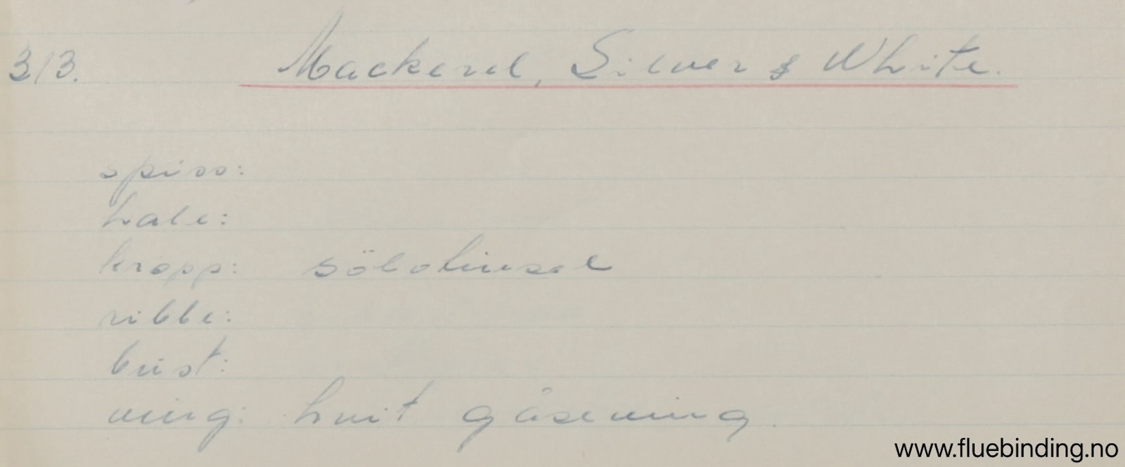 Mackerel Silver White