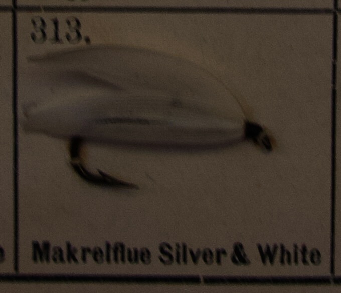 Mackerel Silver White