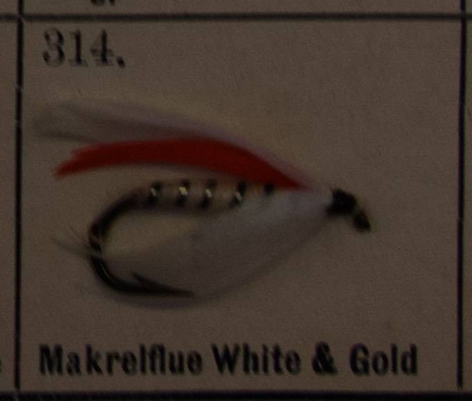 Mackerel White Gold
