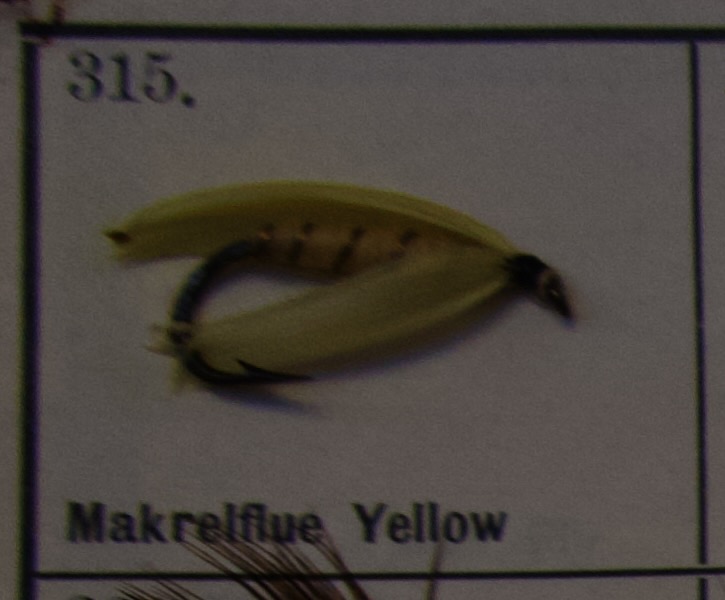 Mackerel Yellow
