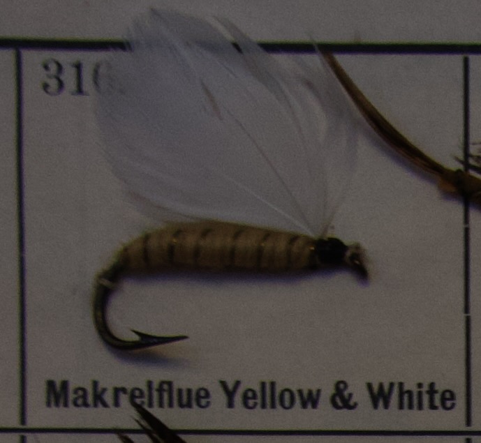Mackerel Yellow White