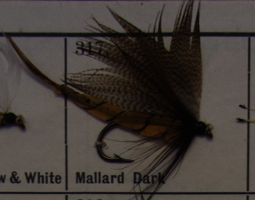 Mallard Dark