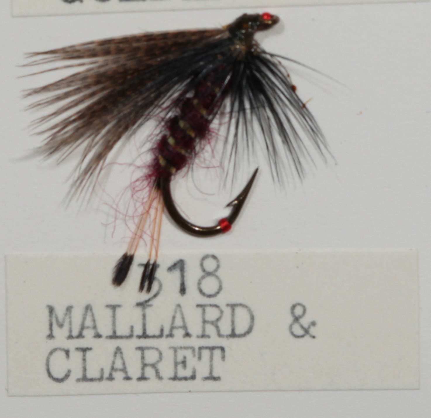 Mallard Claret
