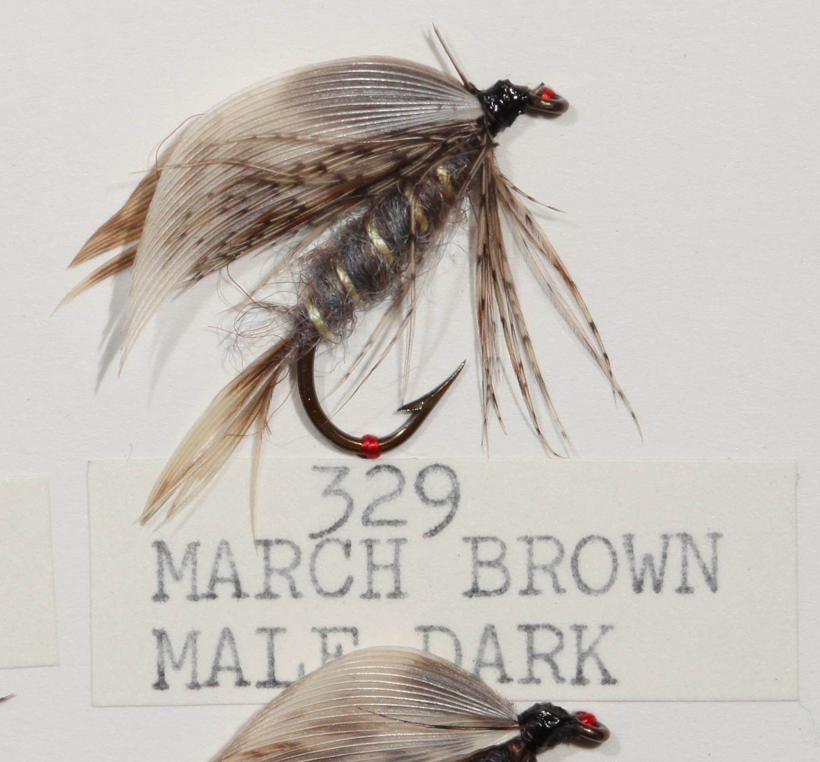 March Brown Male Dark
