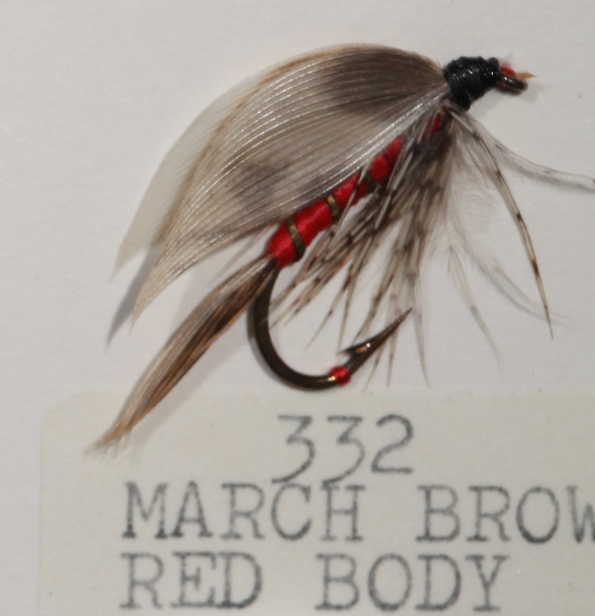 March Brown Red Body