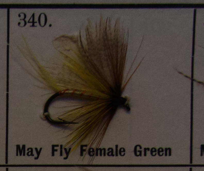 May Fly Female Green