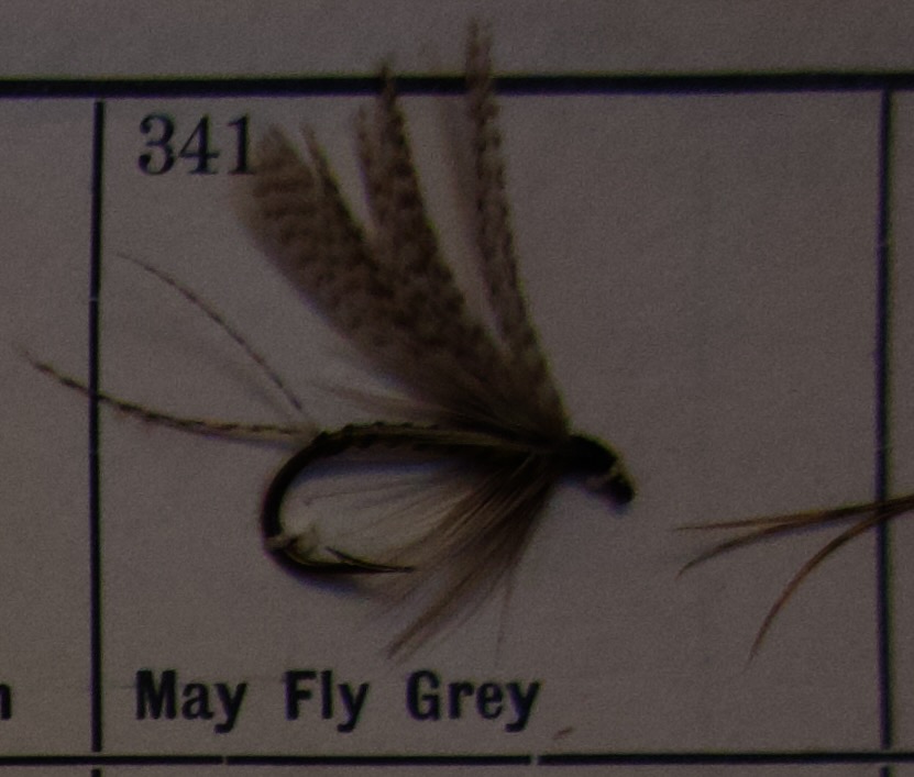 May Fly Grey