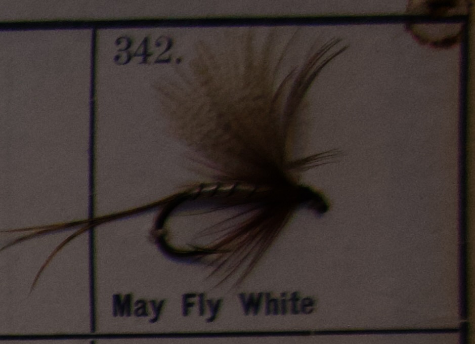May Fly White