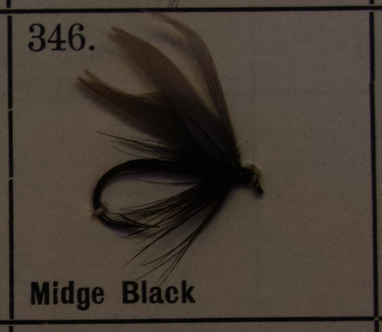 Midge Black
