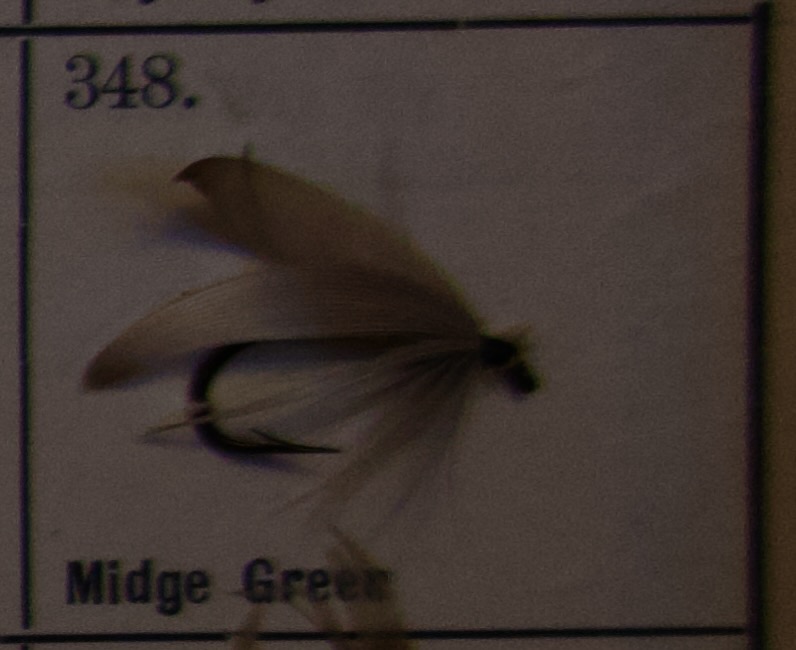 Midge Green
