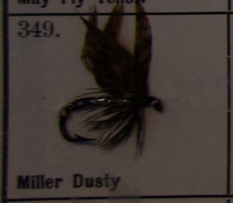 Miller Dusty