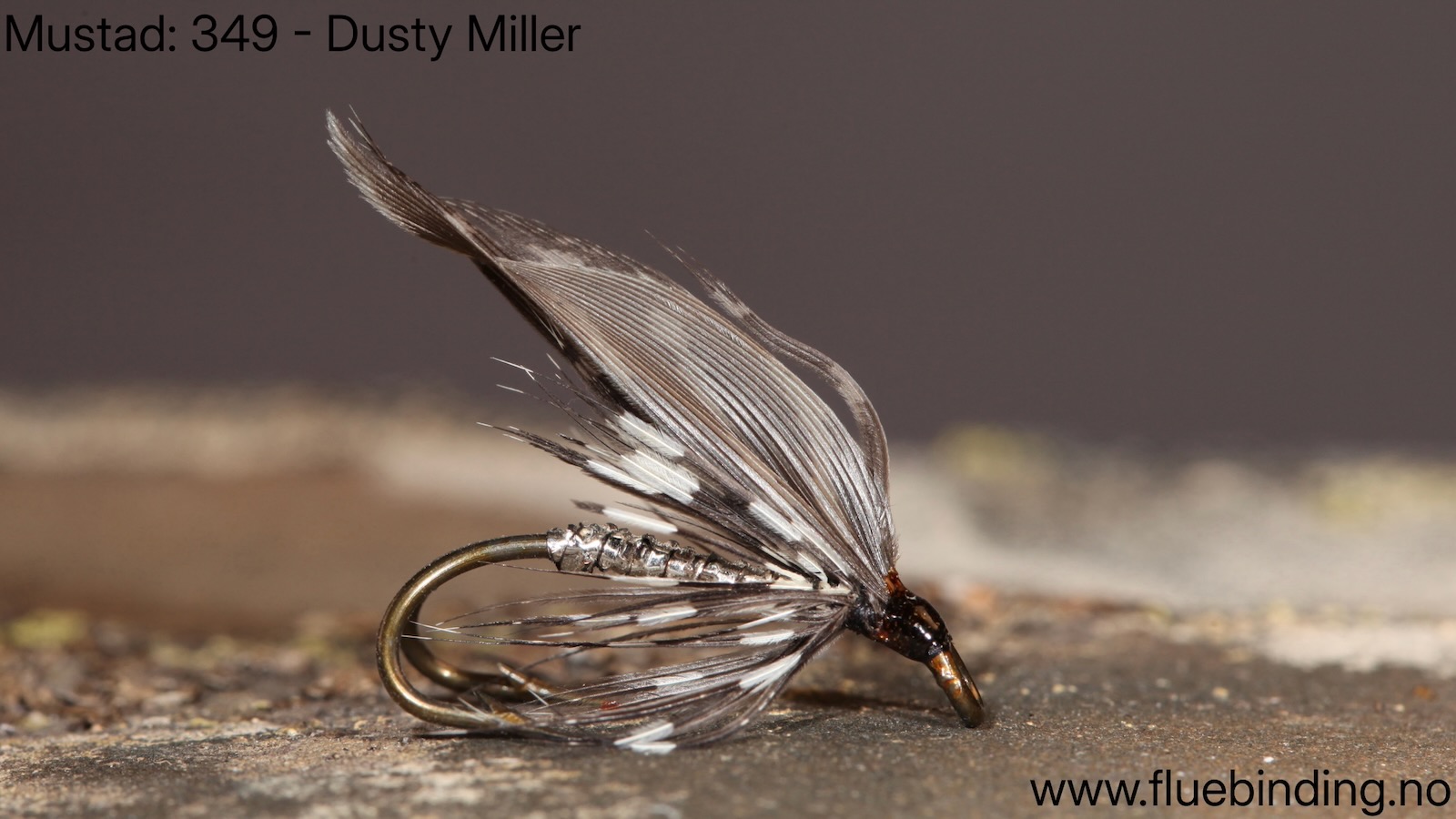 Miller Dusty