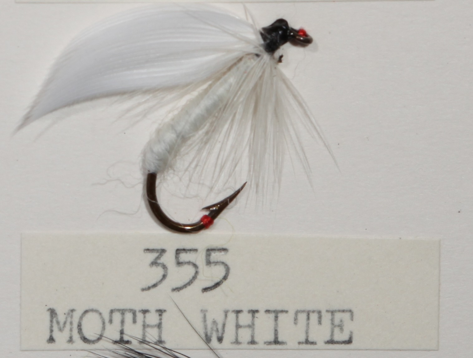 Moth White