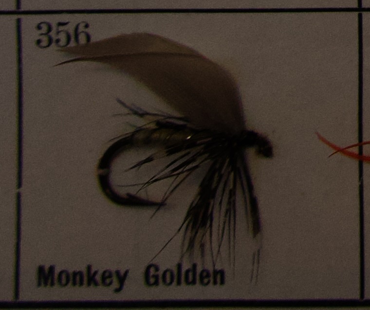 Monkey Golden
