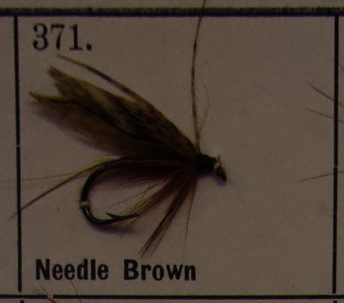 Needle Brown