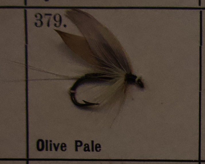 Olive Pale