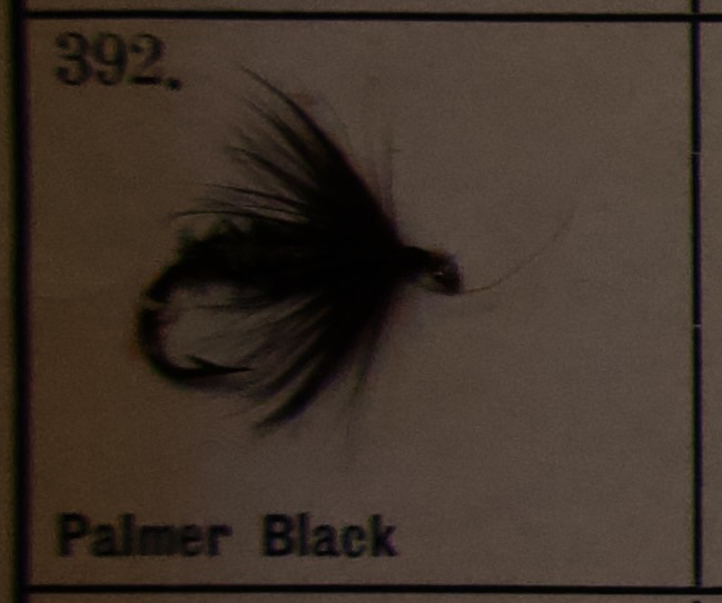 Palmer Black
